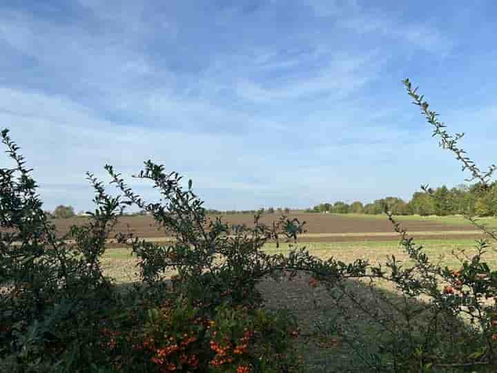 House for sale in 06184 Kabelsketal