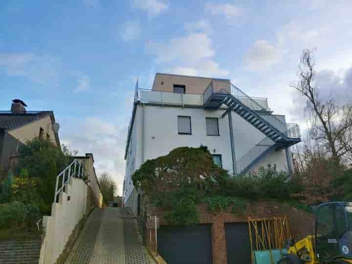 Haus zur Miete in Feldstr. 10                  50126 Bergheim Zentum