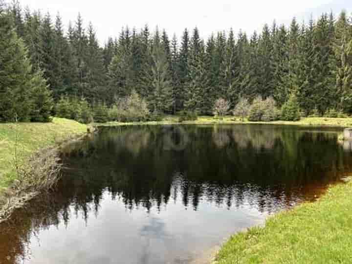 Sonstiges zum Verkauf in 09496 Marienberg