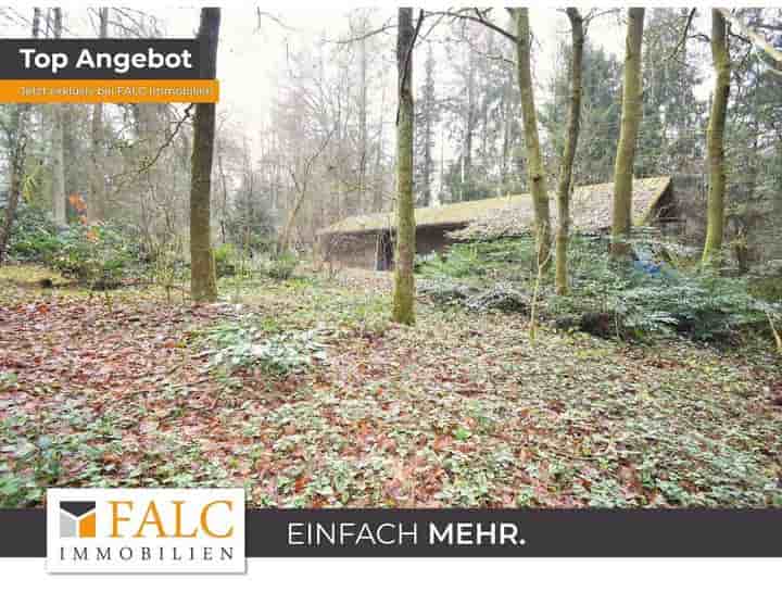 House for sale in 33813 Oerlinghausen                   - Nordrhein-Westfalen