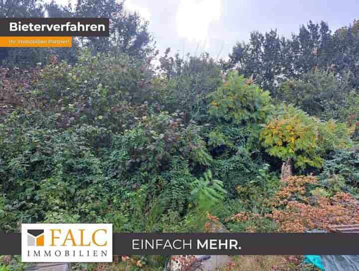 Autre à vendre à 48249 Dülmen                   - Nordrhein-Westfalen