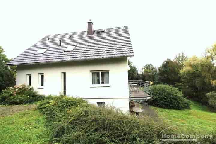 House for rent in 01328 Dresden                   - Sachsen