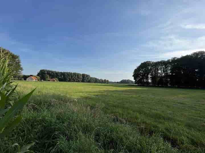 Haus zur Miete in 33775 Versmold                   - Nordrhein-Westfalen