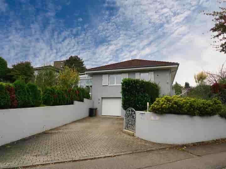 House for rent in 74889 Sinsheim                   - Baden-Württemberg