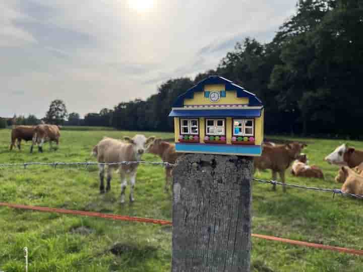 Maison à louer à 33775 Versmold                   - Nordrhein-Westfalen