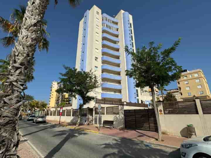 Apartamento en alquiler en Puerto Deportivo