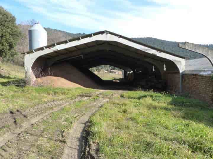 Дом для продажи в Montseny