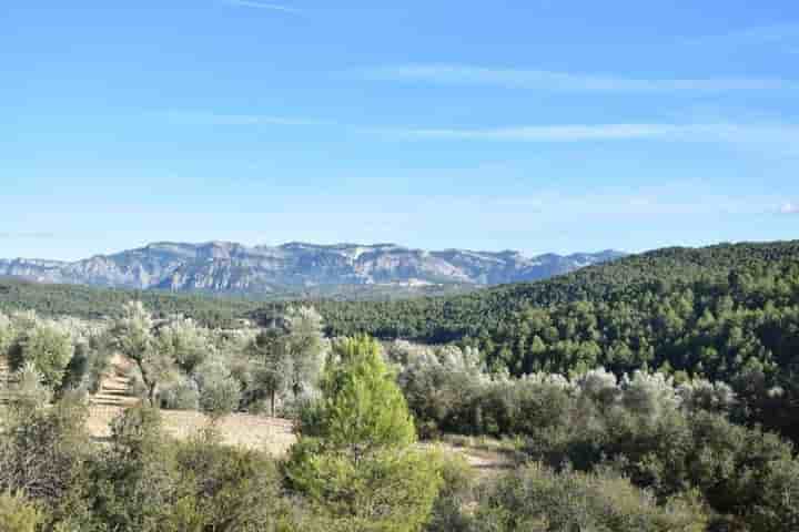 Maison à vendre à Arens de Lledó