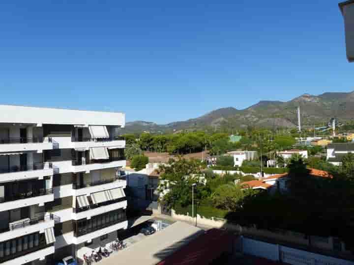 Apartment for rent in Els Terrers