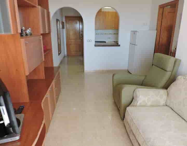 House for rent in Centro