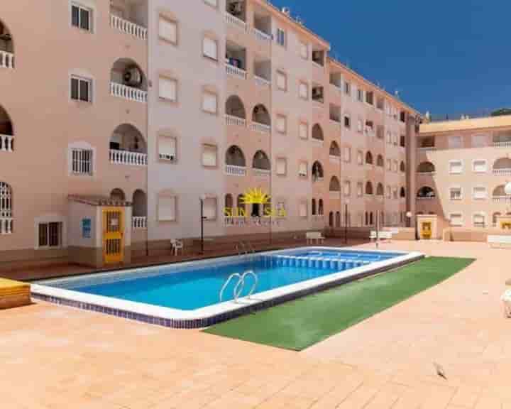 Apartment for rent in Playa del Cura