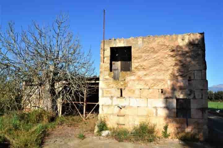 Casa para venda em Llubí