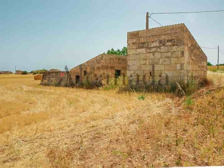 House for sale in Muro