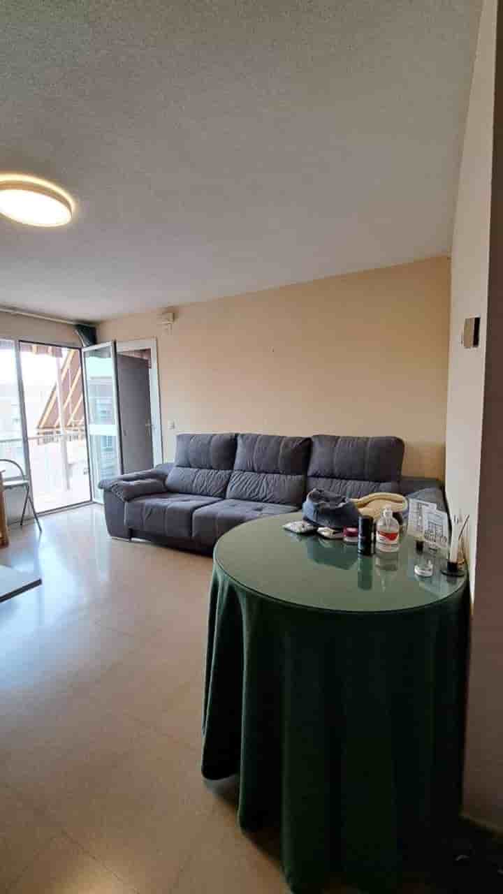 Apartment for rent in Joaquina Eguaras
