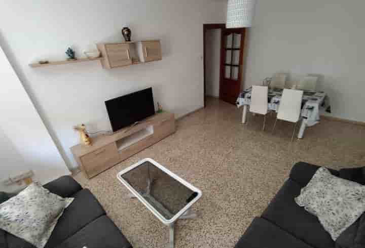 Apartment for rent in Pajaritos