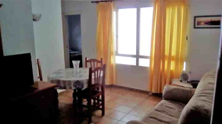 Apartamento en alquiler en Centro Ciudad