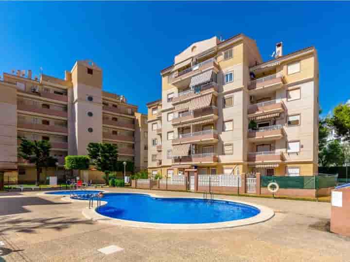 Maison à vendre à Centro