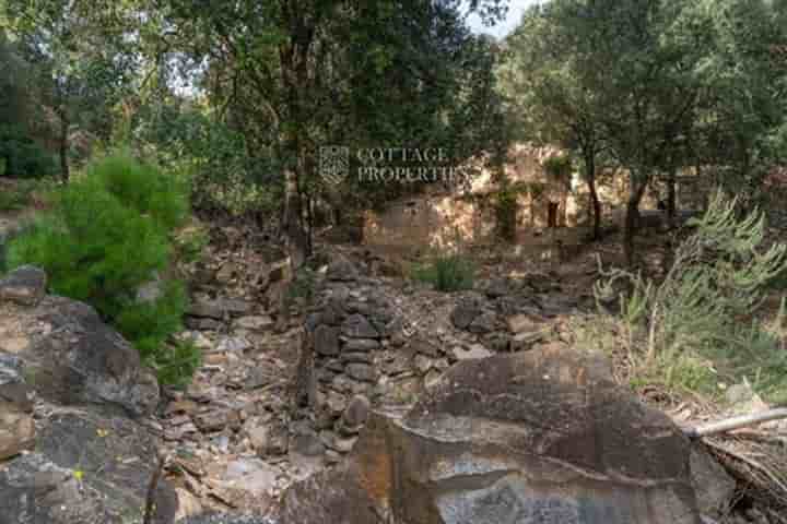 Casa para venda em Cistella