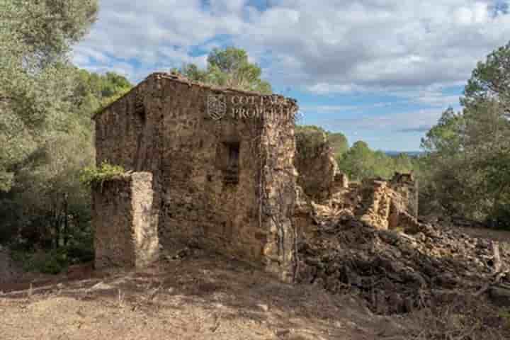 Autre à vendre à Cistella