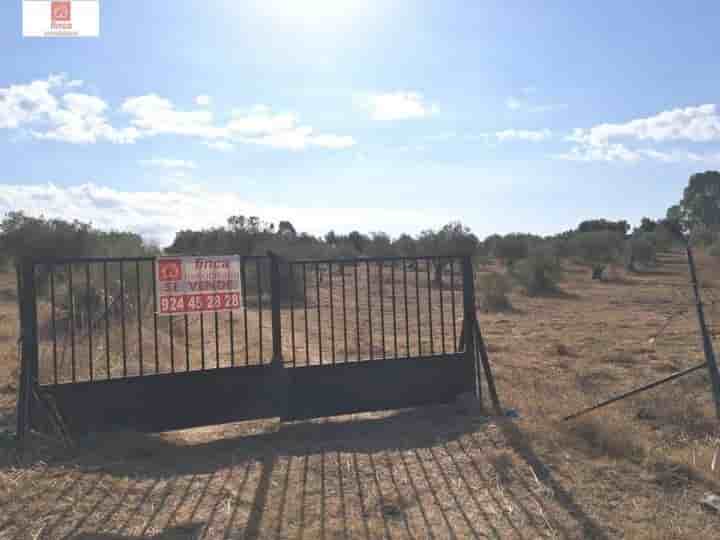 Casa en venta en Montijo