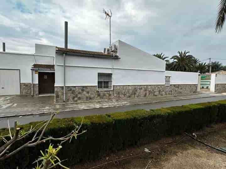 House for rent in Bajo Vinalopó