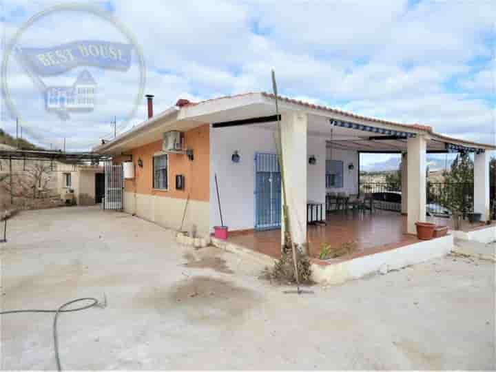 Casa en alquiler en Molina de Segura