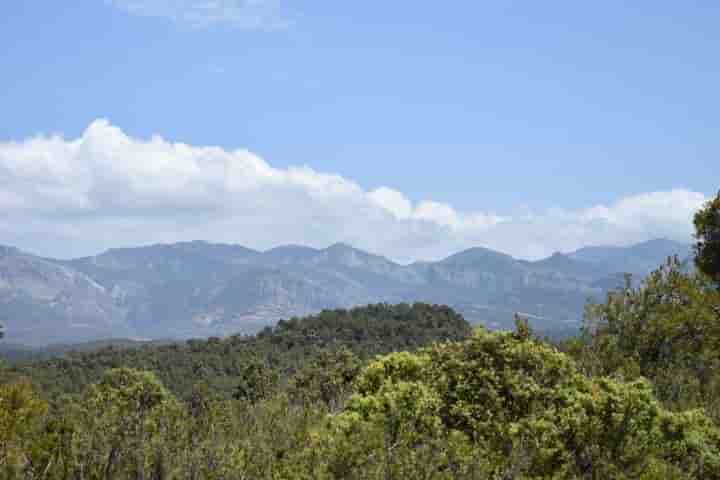 Casa in vendita a Lledó