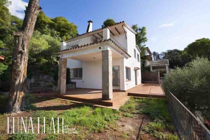 Maison à vendre à Bellamar