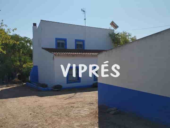 Maison à vendre à Don Álvaro