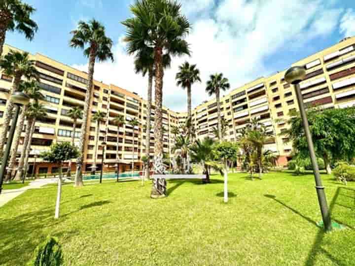 Apartamento en venta en Alacant