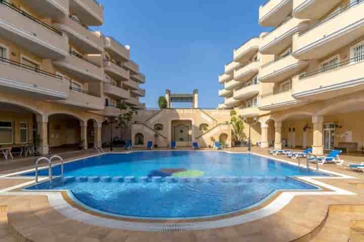 Apartamento para arrendar em Cabo Roig