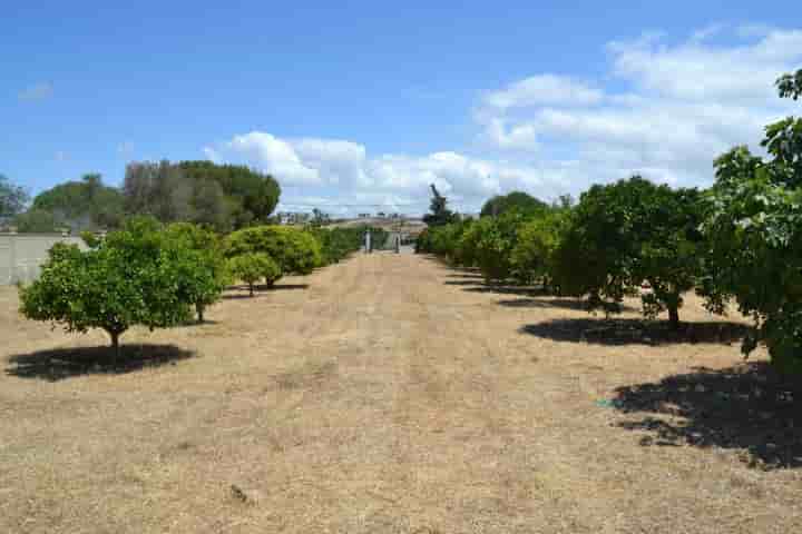 Hus till salu i Chiclana de la Frontera