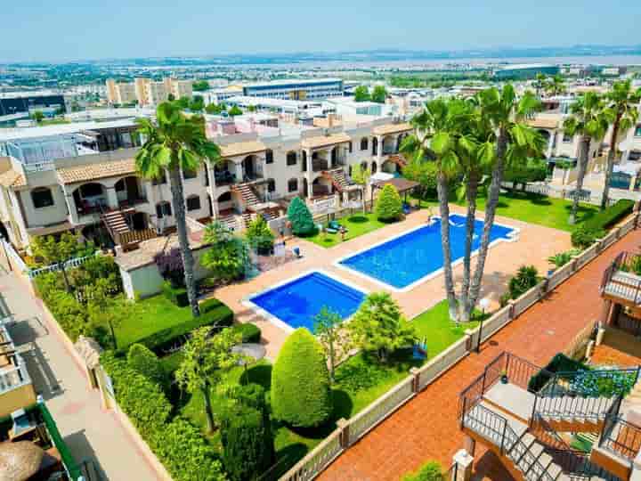 Apartment for rent in Torreblanca