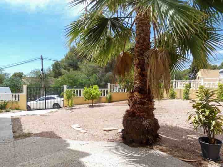 Haus zur Miete in Vega Baja del Segura