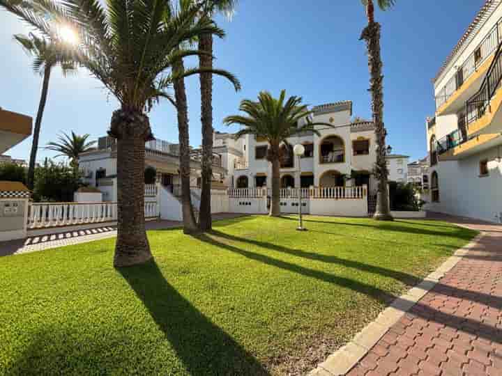 House for rent in Torrevieja