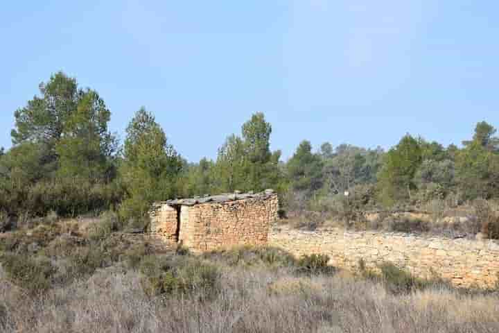 House for sale in La Fresneda