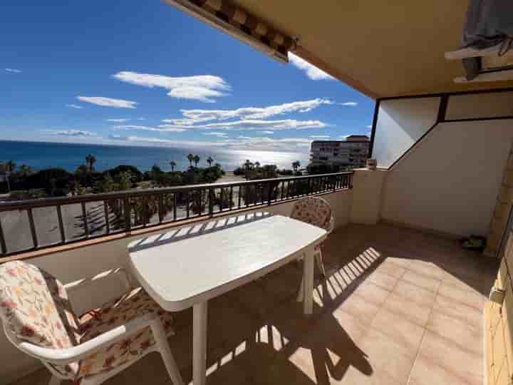 Apartment for rent in Cabo Cervera