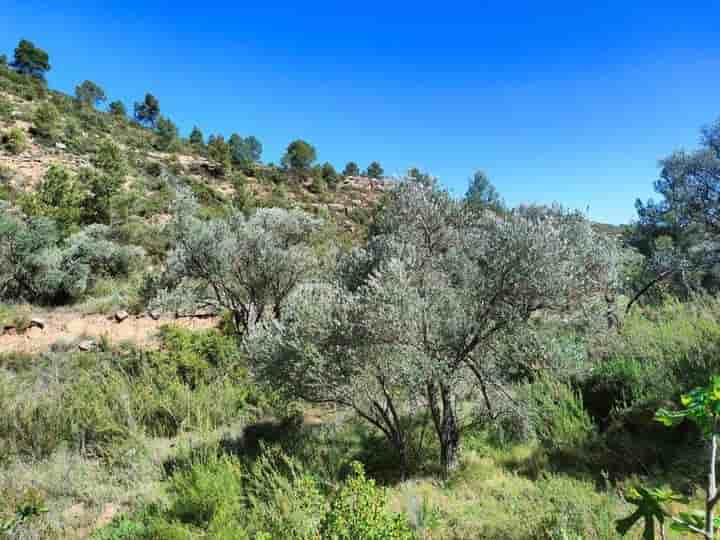 House for sale in Calaceite