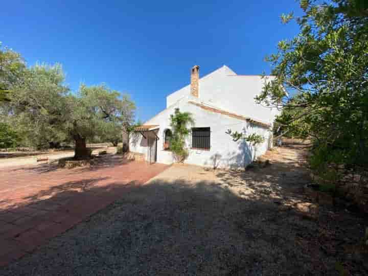 Casa para venda em LAmpolla