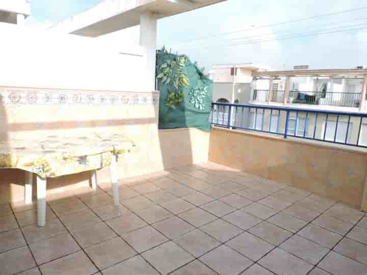 Apartment for rent in Guardamar del Segura