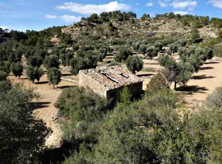 Casa in vendita a Maella