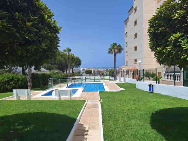 Apartamento para arrendar em Torrevieja