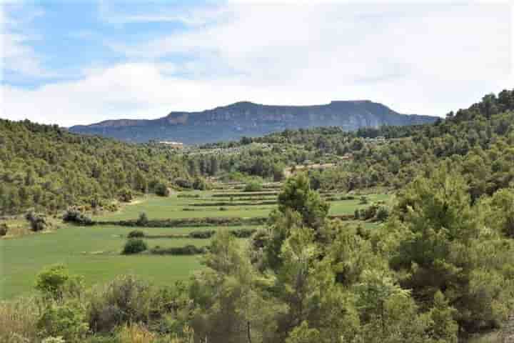 Casa in vendita a Valderrobres