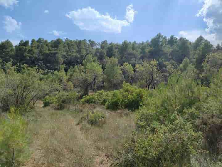 House for sale in La Fresneda