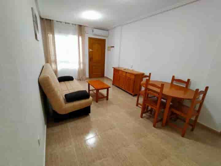 Apartment for rent in Playa de los Locos