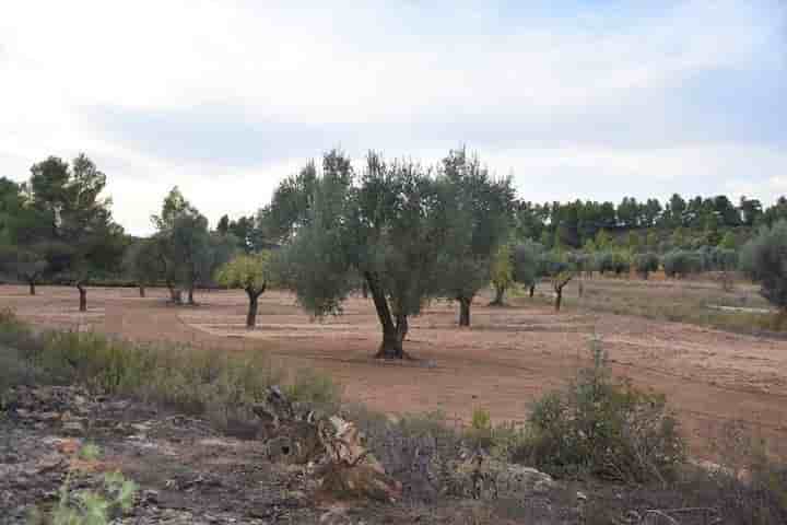 Casa en venta en Valderrobres