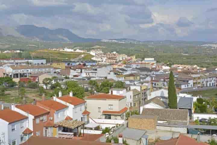 Apartment for rent in Peligros