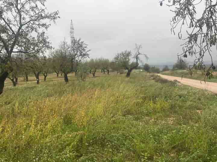 Casa in vendita a La Fresneda