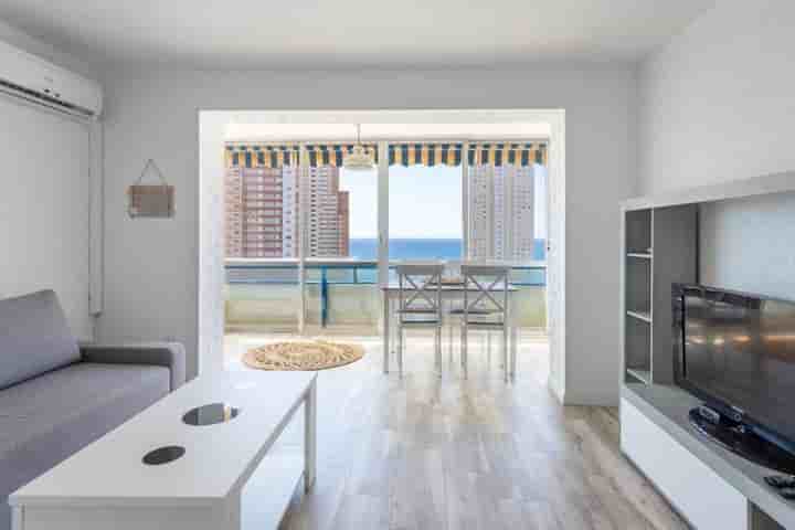 Apartamento para arrendar em Benidorm