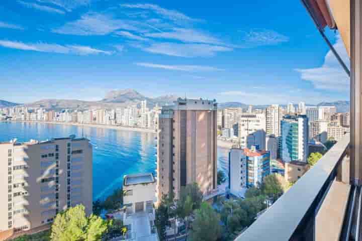 Wohnung zur Miete in Benidorm